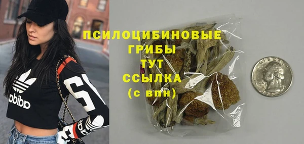 apvp Алзамай