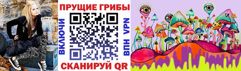 omg сайт  Нарткала  Псилоцибиновые грибы Psilocybe 